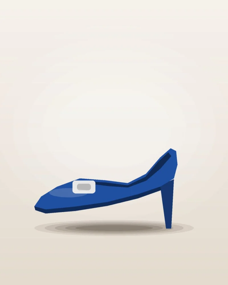Manolo Blahnik Hangisi 105 Pumps